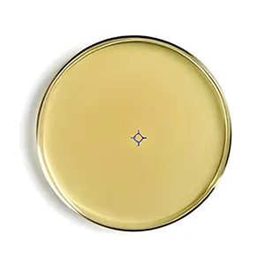 محیط کشت سوی بین کازئین دایجست آگار