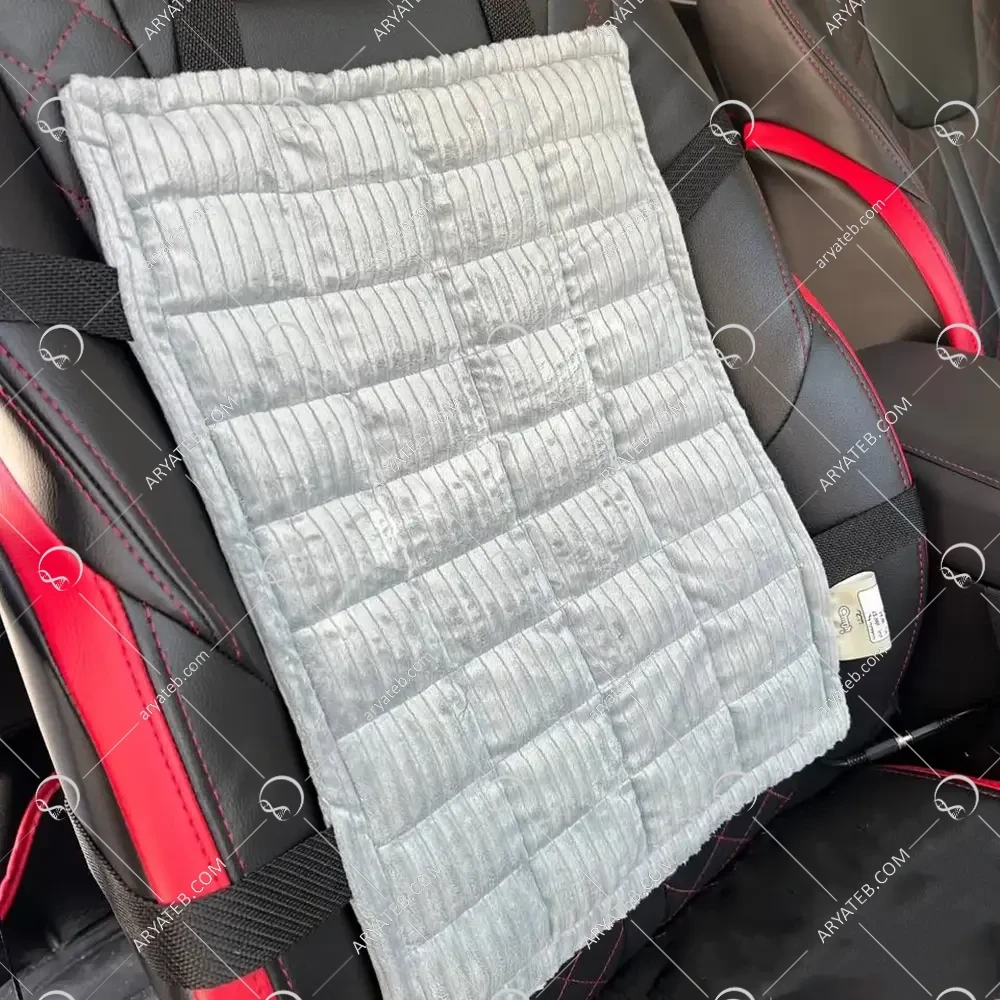 پشتی صندلی برقی نمکی