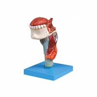 مولاژ حنجره با زبان و دندان