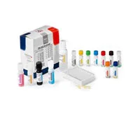 محیط کشت B G DEXTROSE AGAR SNYDER TEST AGAR