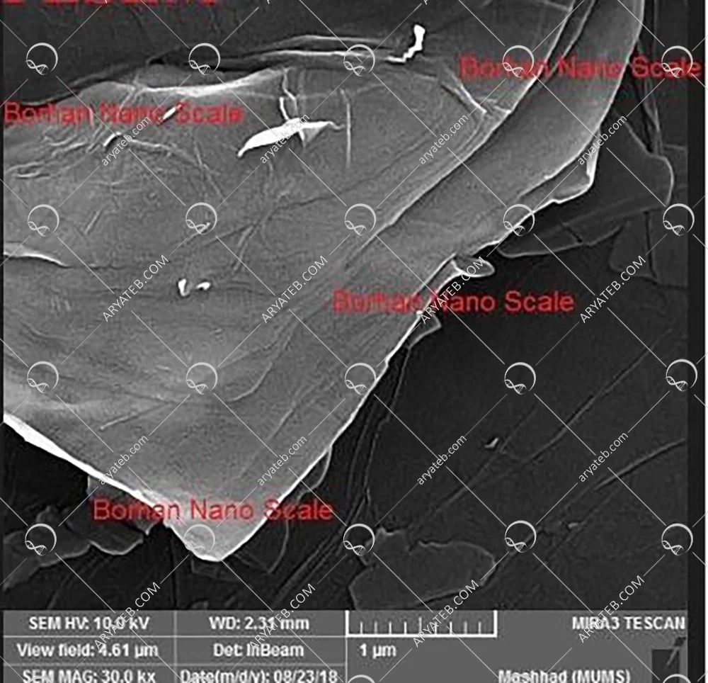 نانو کلوئید اکسید گرافن
