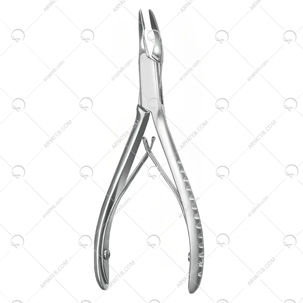 رانژور میکرو