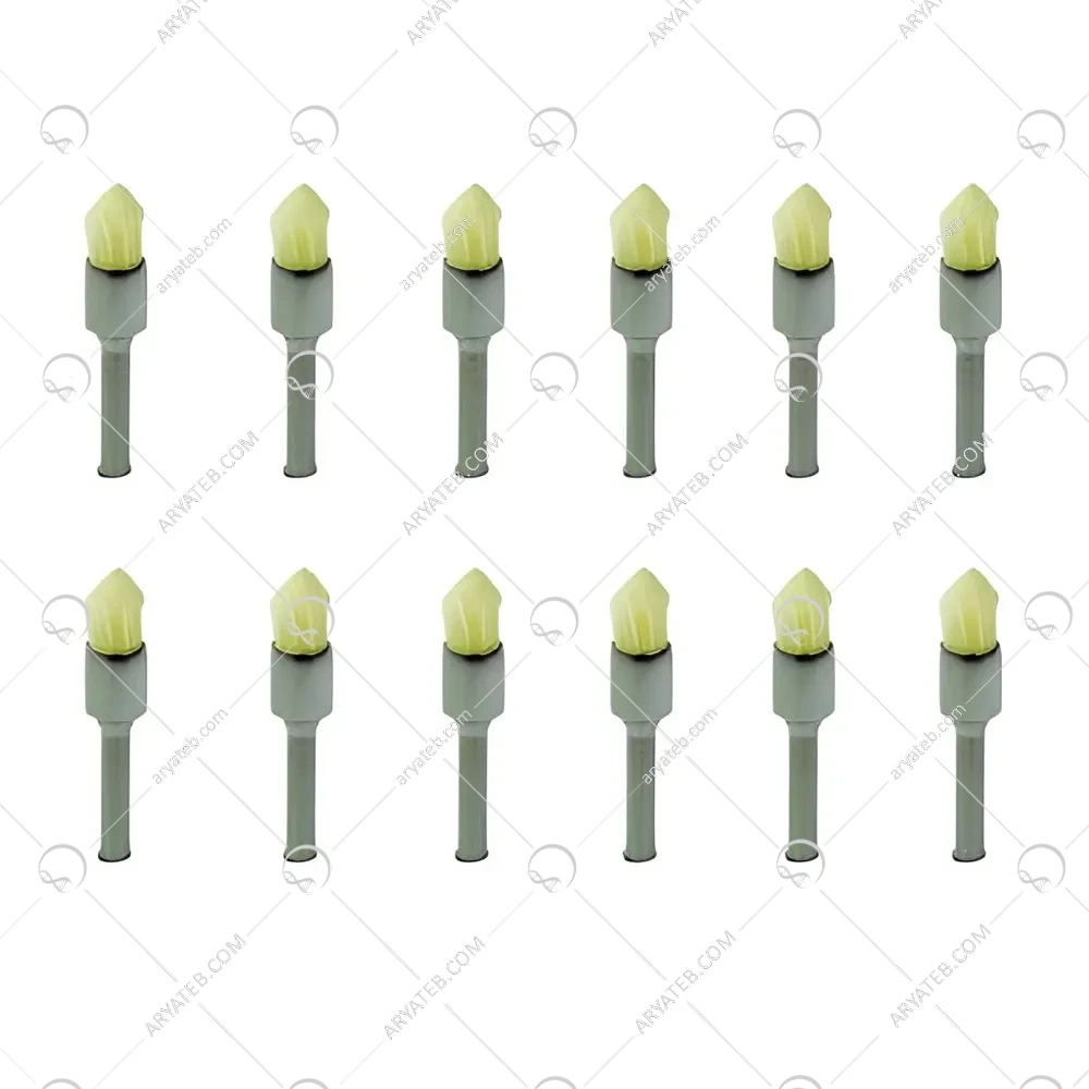 براش موی بز دیاشاین DIASHINE RA Latch Bristel Brush Pointed