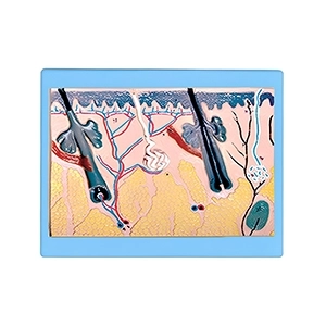 مولاژ پوست دیواری