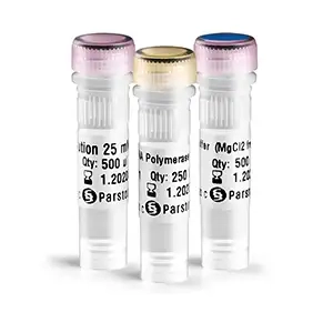 آنزیم DNA پلی مراز Taq