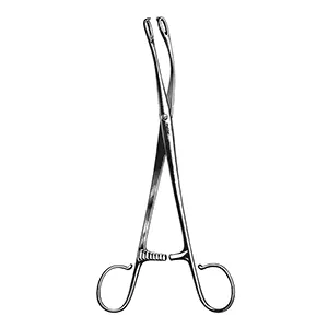 پنس کرو لوزه کوخر