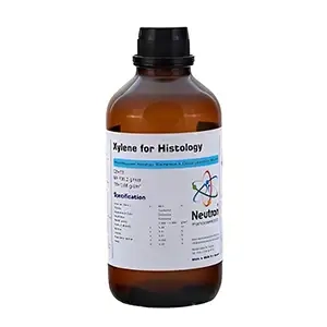 زایلین Histology