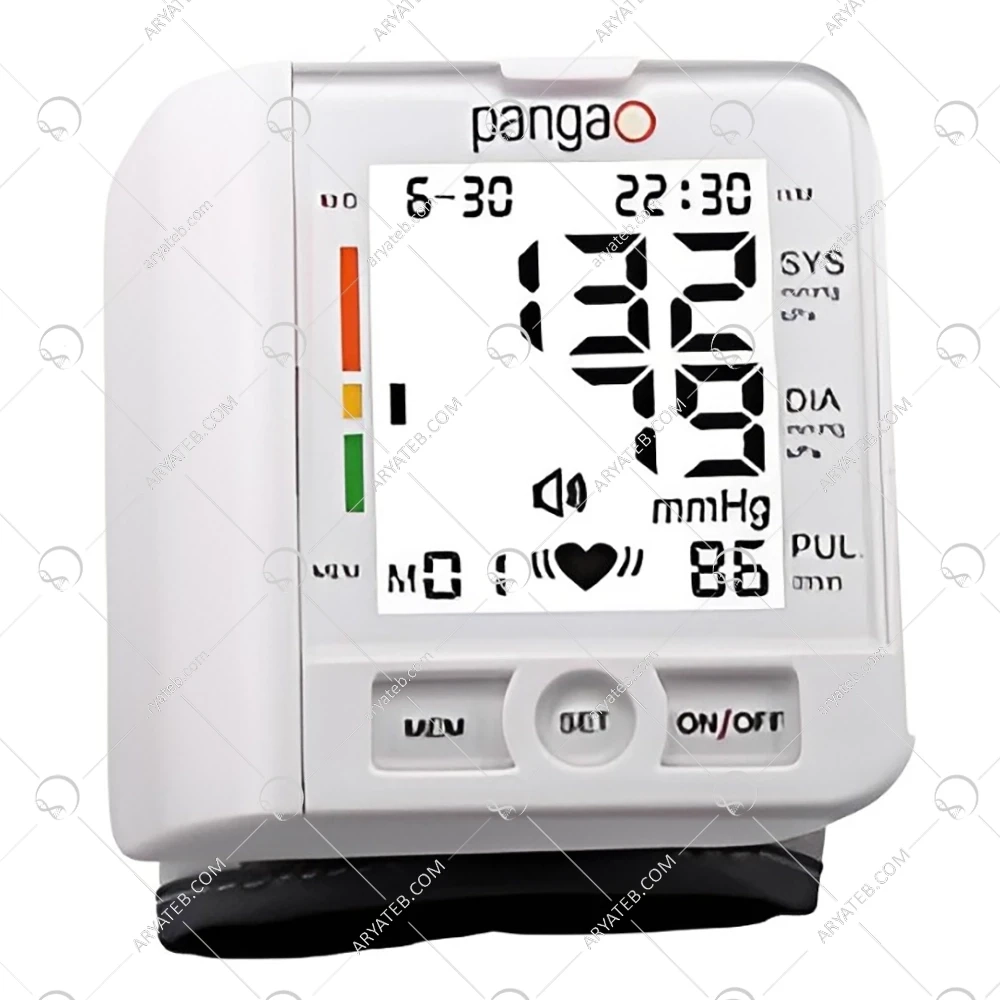 فشارسنج پانگائو مدل PG_800A16