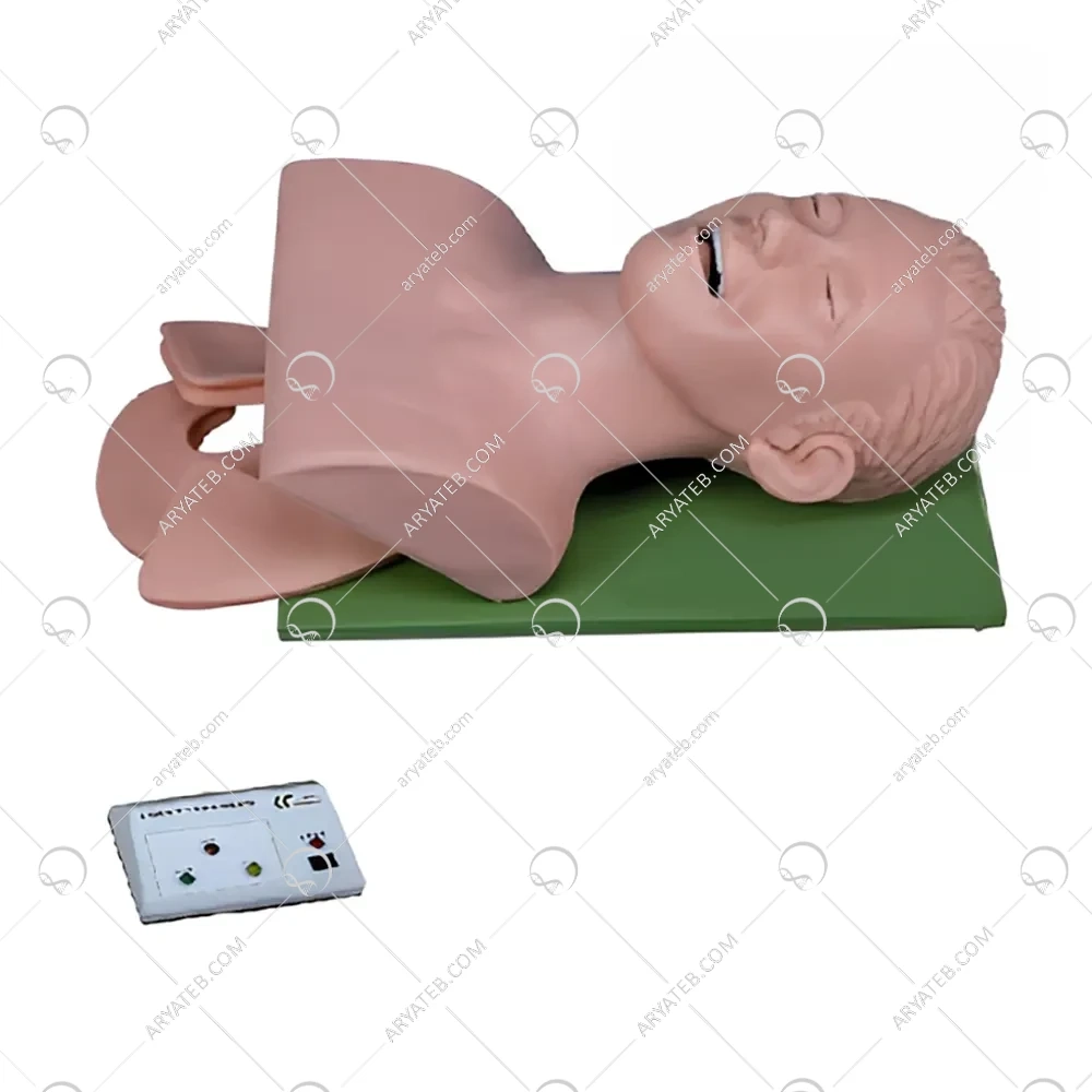 مانکن انتوباسیون ( مانکن لوله گذاری )