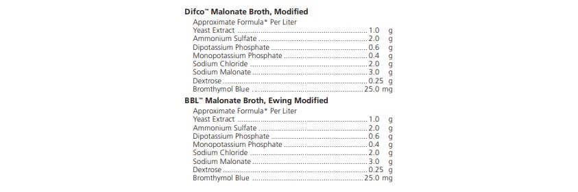 محیط کشت مالونات براث