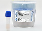 پلاسمای خرگوش