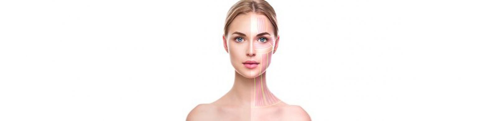 دستگاه هایفو سالنی ویمکس