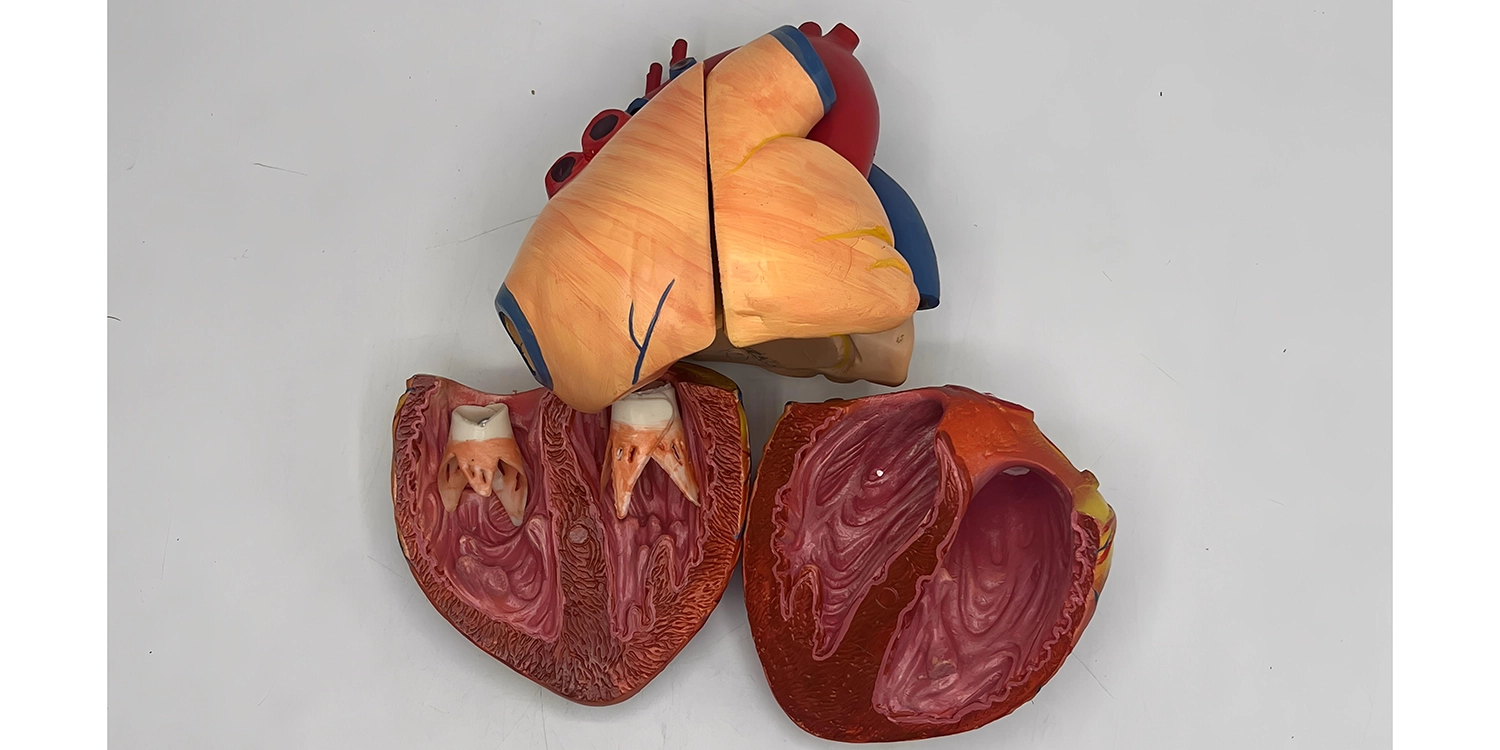 مولاژ قلب 6 قسمتی